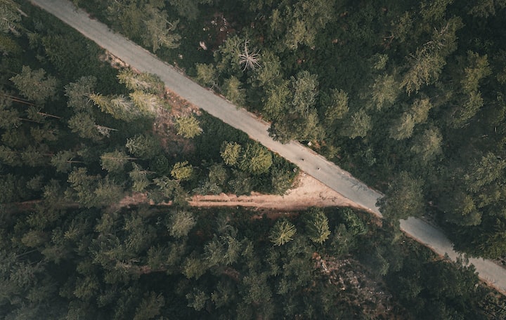 Descubren una cura definitiva para el resfriado común